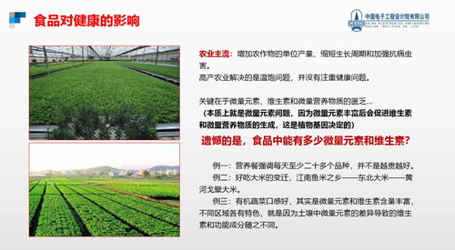 跨越隱形饑餓，點亮健康未來 硒鍶硅鋅營養(yǎng)健康食品項目與生態(tài)旅游開發(fā)協(xié)同發(fā)展計劃